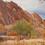 "Roxborough Rocks" 18 x 24
A wild apple tree and rock formation in Roxborough State Park, Colorado