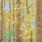 "Mesa Aspens" 20x30
